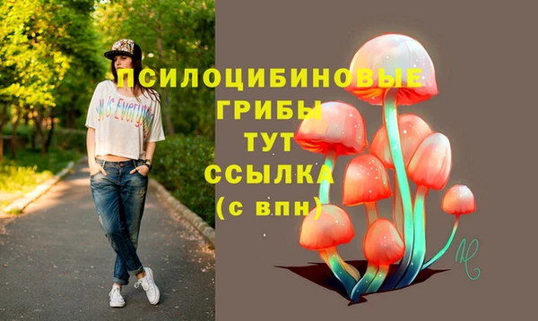 экстази Алексин