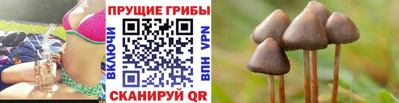 Галлюциногенные грибы мухоморы  Трубчевск 